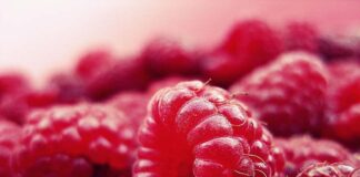 Treatment for Chronic Lymphatic Leukaemia to Replace Chemo