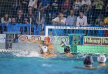 Antidepressants Do Not Increase Risk of Cardiovascular Events